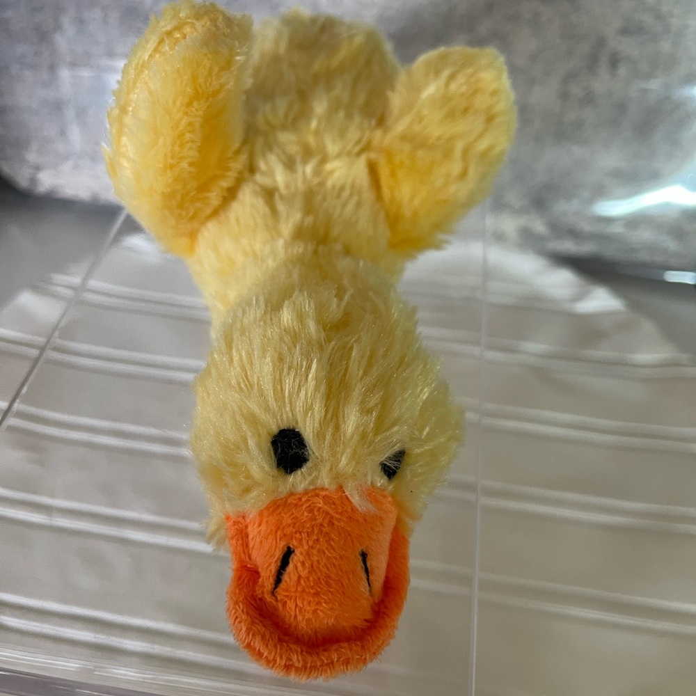 Dan dee duck yellow